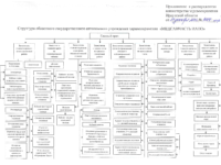 Структура МСЧ ИАПО