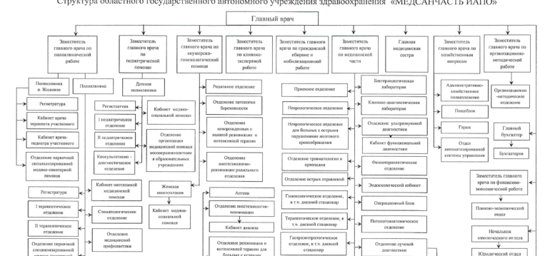 Структура МСЧ ИАПО